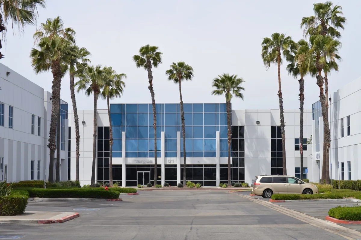 Glass-front office building framed by palm trees